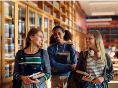 Netherlands Fully Funded MENA Scholarship